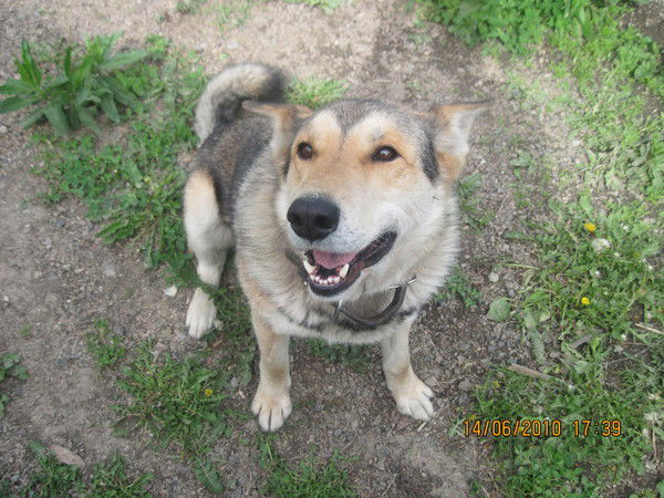 Фёдор Акентьев