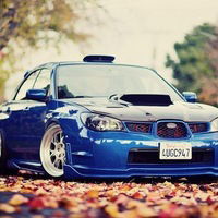 Мангилёв Александр