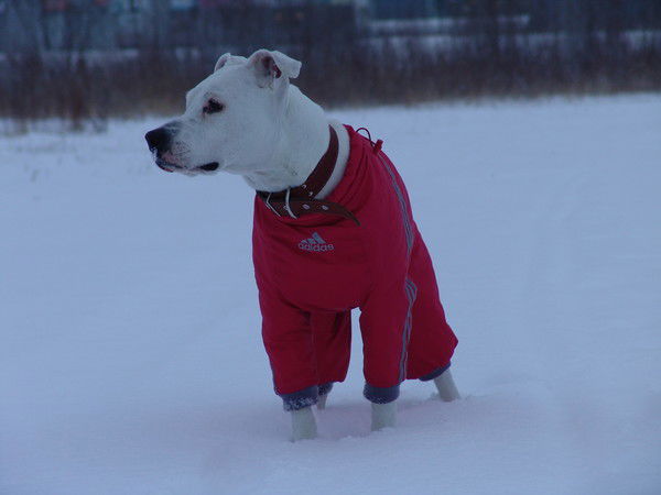 Влад Русяев