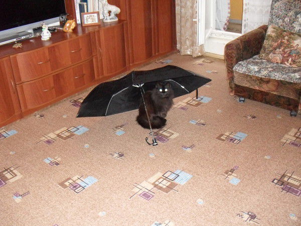 Геннадий Сендеров