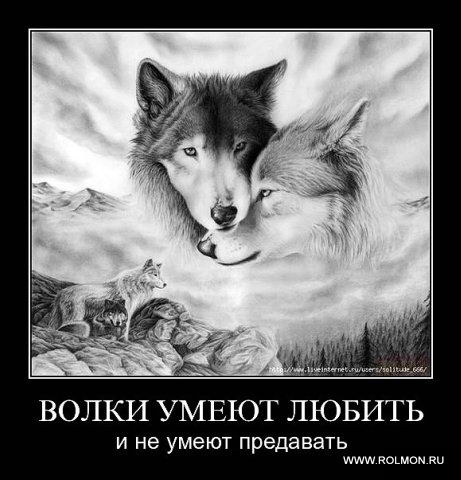 Нам всегда чего то не хватает то любви. Смотреть фото Нам всегда чего то не хватает то любви. Смотреть картинку Нам всегда чего то не хватает то любви. Картинка про Нам всегда чего то не хватает то любви. Фото Нам всегда чего то не хватает то любви