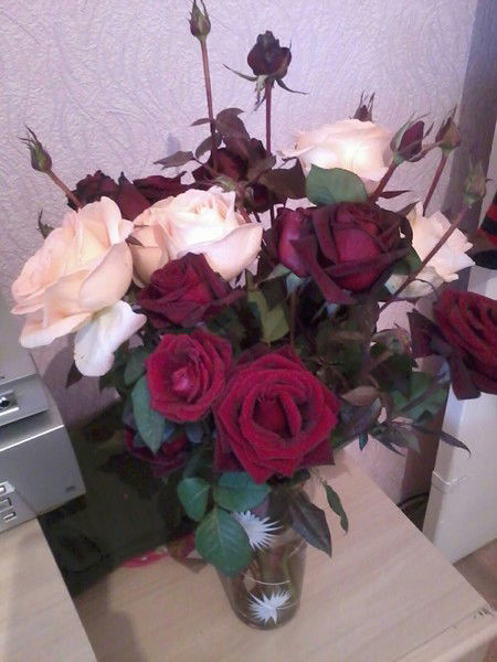 Аигерим Аширалиева