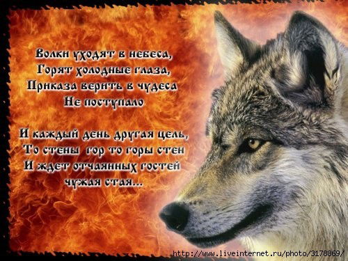 Виталя Никифоров