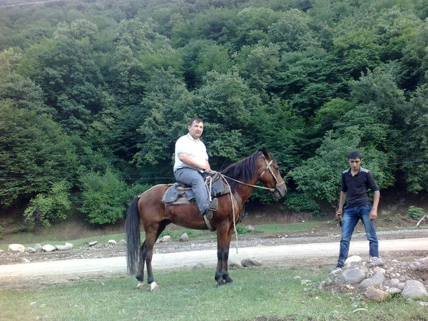 Неизвестно Неизвестно