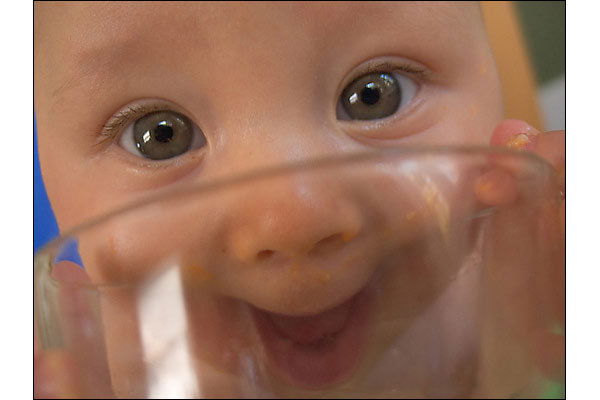 Максим Шевцов