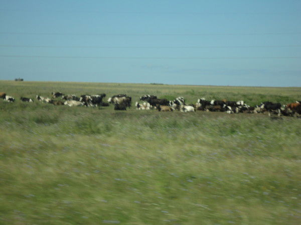 Олег Пискунов