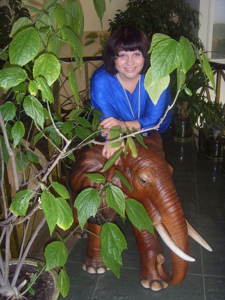 Елена Иваник