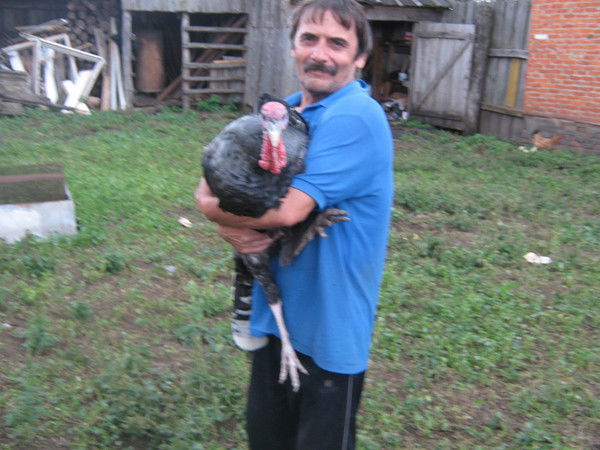 Калистрат Филаретыч