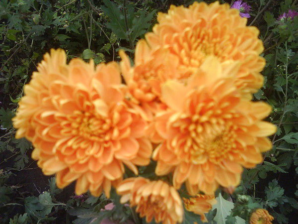 Валентина Гончаренко