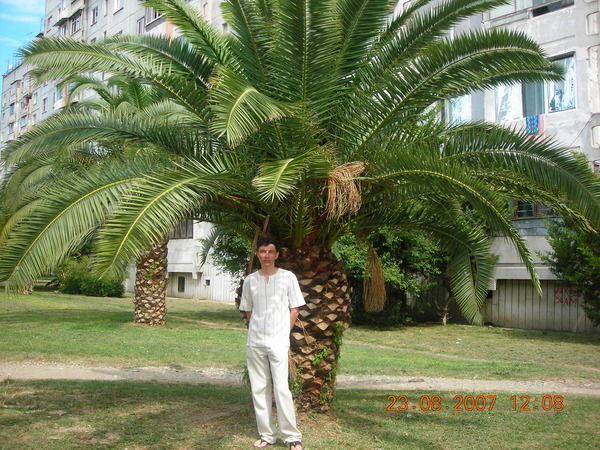 Явар Касымов