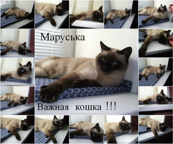 Лопатина Елена