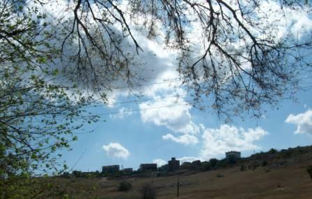 Tatiana Pashkovskaya