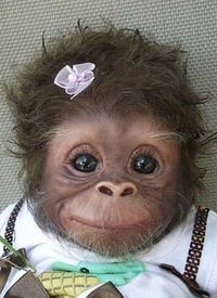 Вика Мамедова