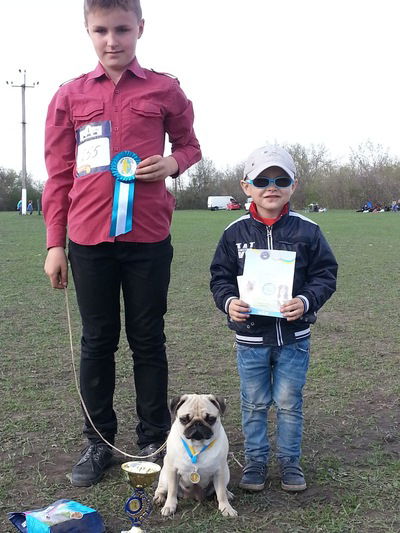 Александр Горбаченко