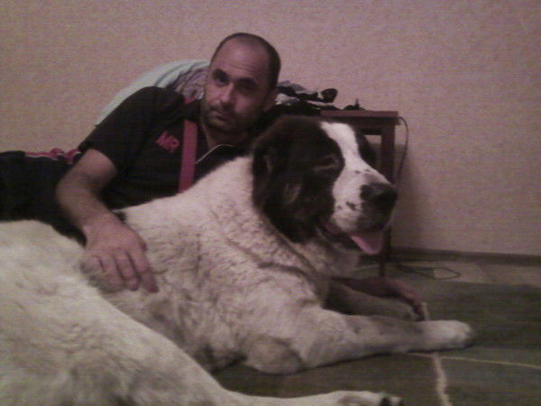 Альфред Соловицкий