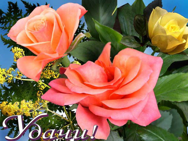 Нурик Мендибаев