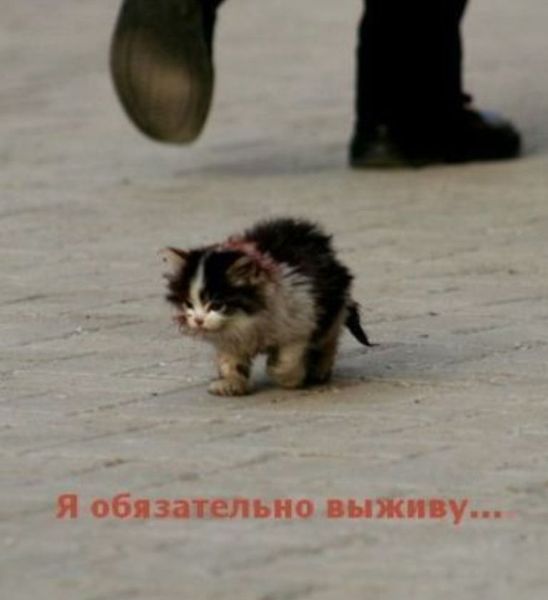 Анастасия Лотохина