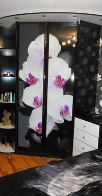 Кирилл Φедосеев