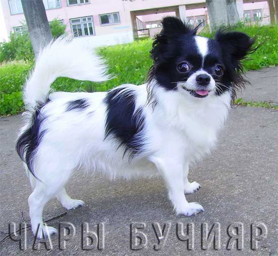 Яна Шакирова