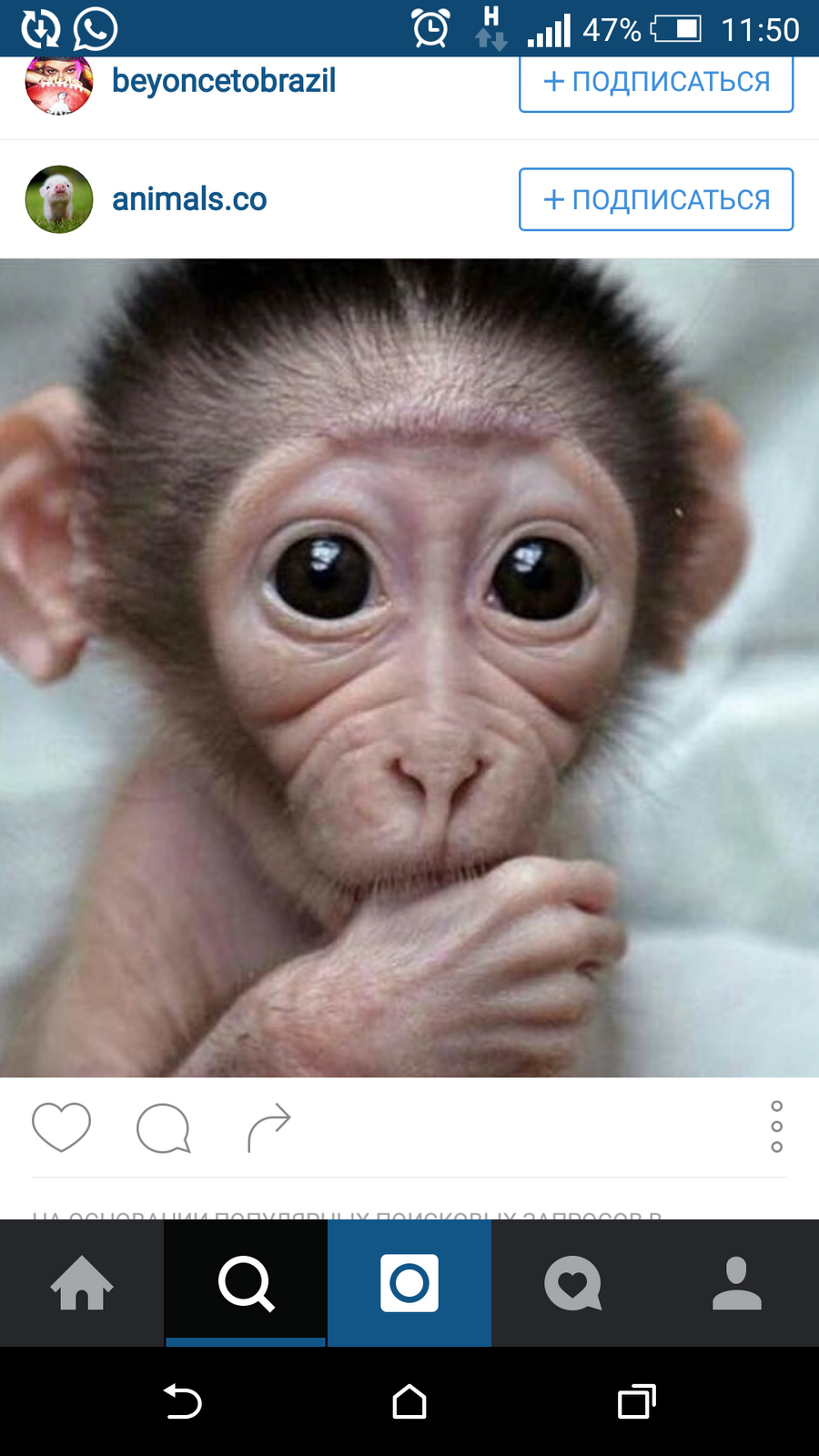 Галя Некрасова