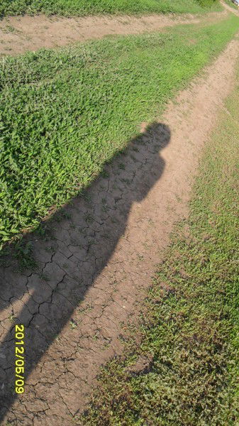 Виктория Сергеевна