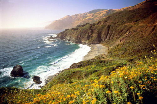 Игорь Верещагин