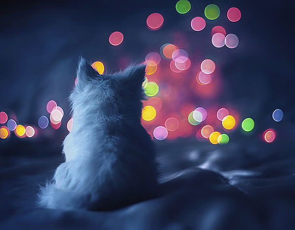 Светлана Авдюхина