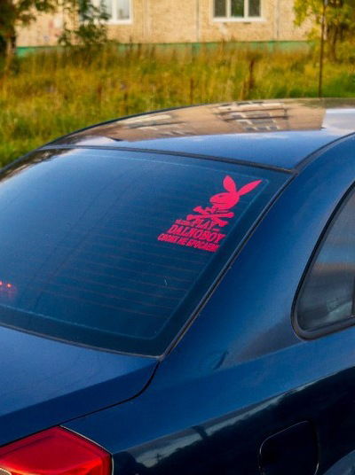 Владимир Дайбов