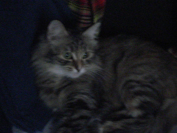 Елена Усова