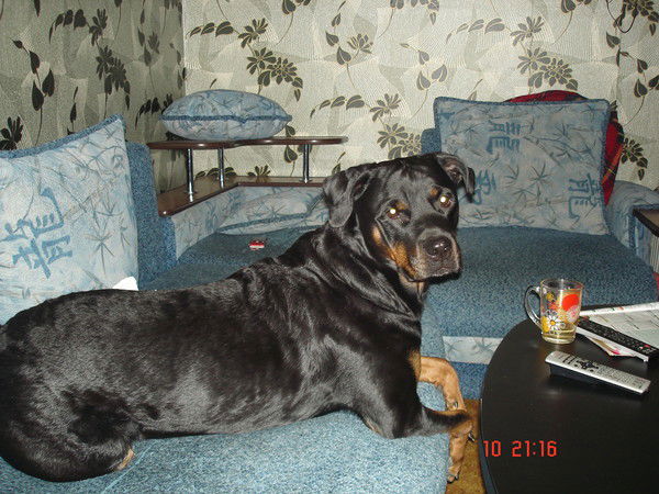 Матафонов Олег