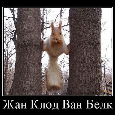 Александр Батькович