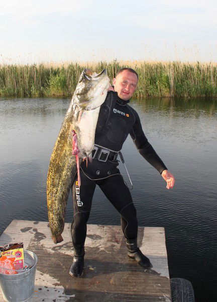 Виктор Орлов