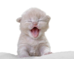 Марина Фатуева