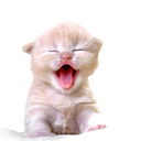 Марина Фатуева