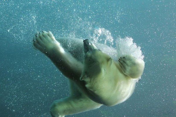 Алексей Щеглов