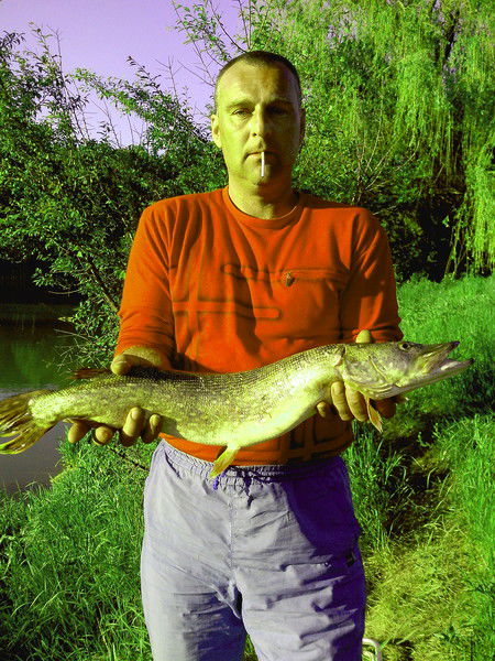 Андрей Земцов