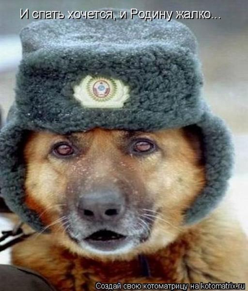 Роман Шкварь