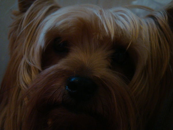 Кристина Борзых