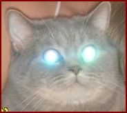 Алла Чаленко