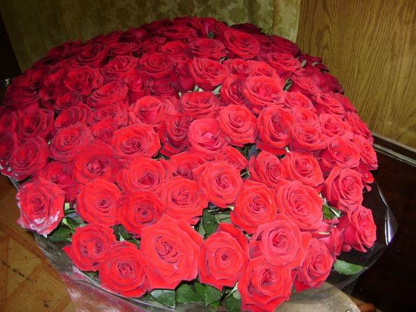 Надя Быстрова