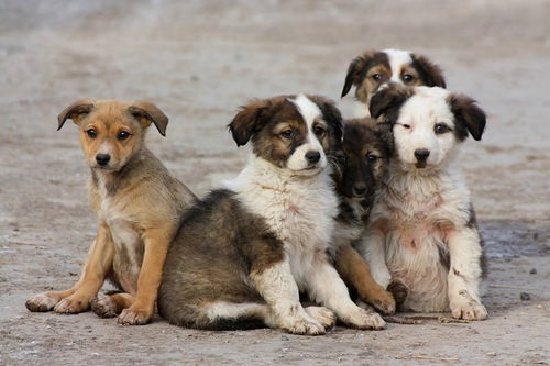 Наталья Масюкова