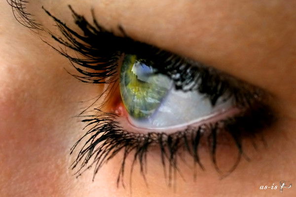 Елена Рудова