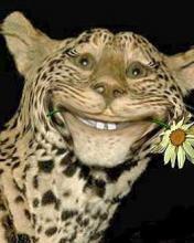 Сергей Мурылёв