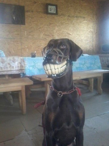 Сергей Дорожкин