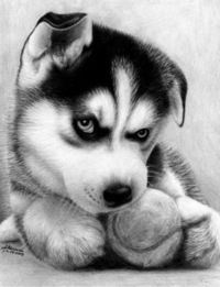 Фаиль Харисов