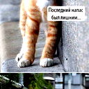 Олег Голиков