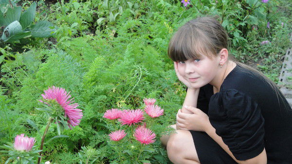 Дикая Кошка