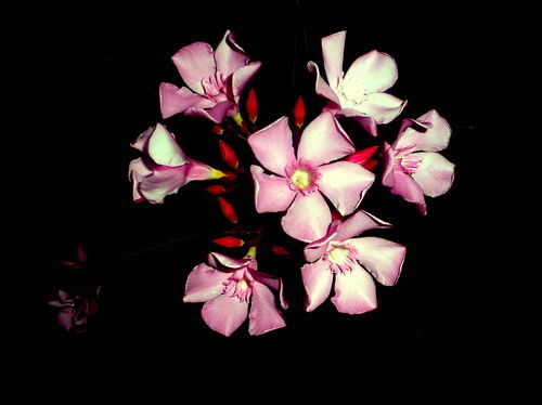 Кгп "каратал" Нуринский Р-Н