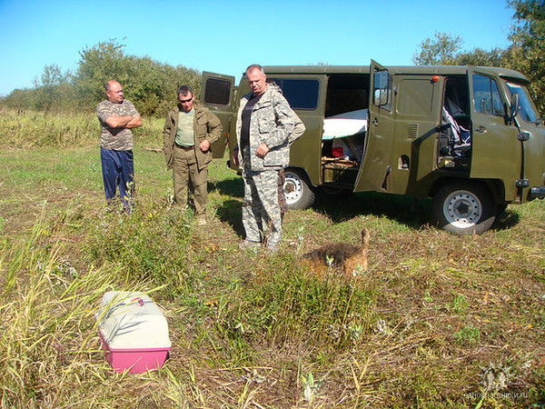 Алексей Егоров