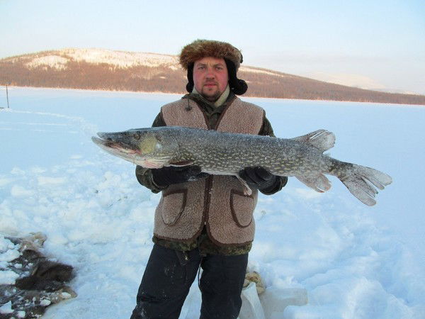 Алексей Гарник